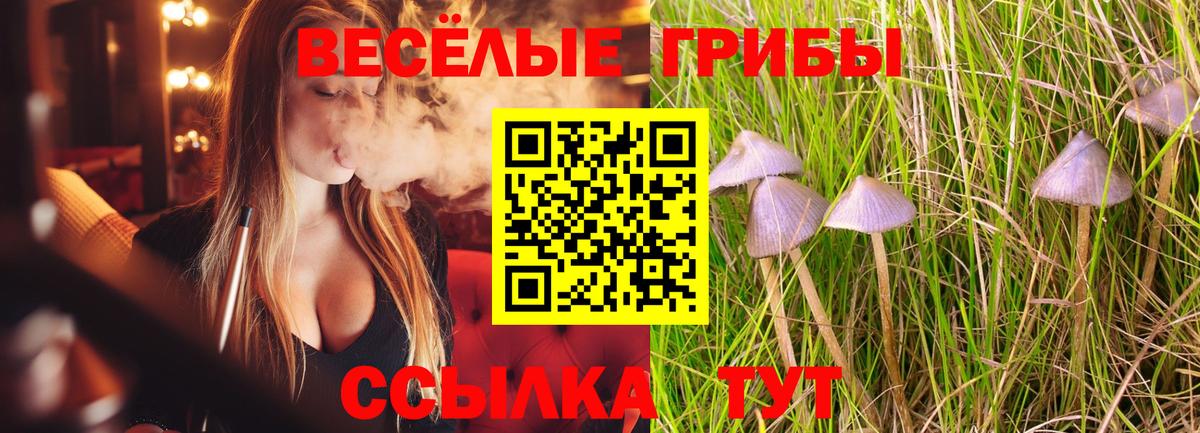 Галлюциногенные грибы Magic Shrooms  Вход с VPN  Ковров  Псилоцибиновые грибы GOLDEN TEACHER 